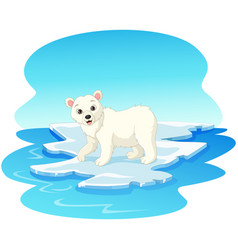 Polar Bear On Floating An Ice