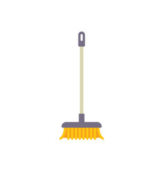 Pool Mop Cleaning Icon Flat