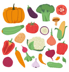 Vegetables For Balanced Healthy Nutrition