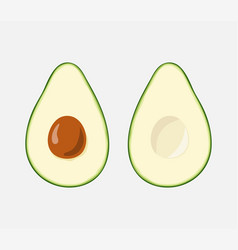 Color Drawing Avocado Two Slices