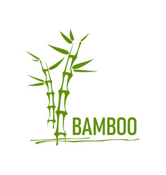 Asian Bamboo Icon Spa Massage And Health Symbol