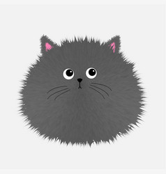 Gray Fluffy Cat Icon Face Head Body Fat Round