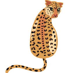 Baby Leopard Design