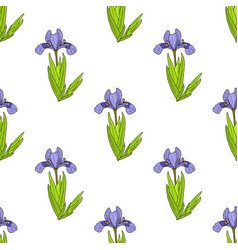 Seamless Pattern With Dwarf Lake Iris