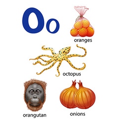 Things That Start With The Letter O