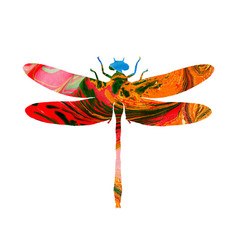 Watercolor Of A Multicolored Abstract Dragonfly