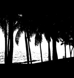 Coconut Palm Tree Silhouette