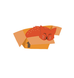 Cute Hygge Cat Sleeping In Box Sticker Social