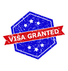 Hexagonal Bicolor Visa Granted Watermark