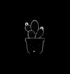 Cactus - Black And White