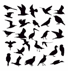 Collection Bird Silhouettes