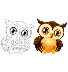 An Owl Colored And Line Art