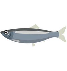 Fish Pacific Herring Sea Or Ocean