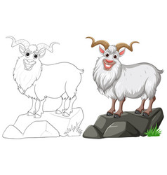 Colorful And Outlined Mountain Goat On Stones