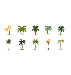 Cute Palm Tree And Coconut Set