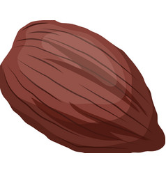 Cocoa Bean Cartoon