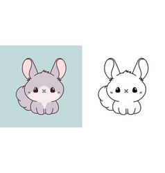 Cute Baby Chinchilla Clipart