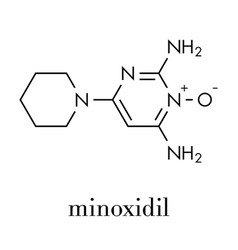 Minoxidil Male Pattern Baldness Androgenic