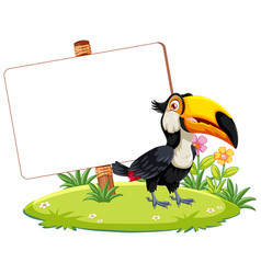 Colorful Toucan Beside A Blank Sign On Grass