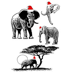 Graphical Set Of Elephants In Santa Claus Hats