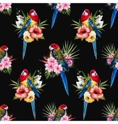 Watercolor Rosella Bird Pattern