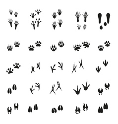 Giraffe Footprints Vector Images (over 190)