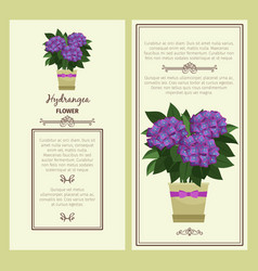 Hydrangea Flower In Pot Banners