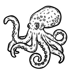 Octopus Animal Coloring Page For Adult