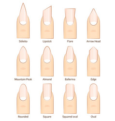 Nail Shape Line Icons Types Of Fingernail Shapes