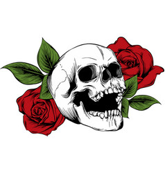 Roses and skulls on white Royalty Free Vector Image