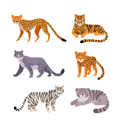 Set Of Different Wild Cats Cheetah Cerval