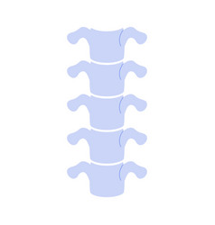 Human Spine Simple Anatomical Vertebral Model