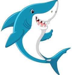 Cute shark surfing cartoon Royalty Free Vector Image