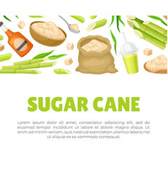 Cane Sugar Natural Product Banner Design