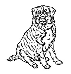 Dog Animal Coloring Page For Adult