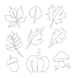 Forest Leaves Pumpkin Acorn Und One Line Set