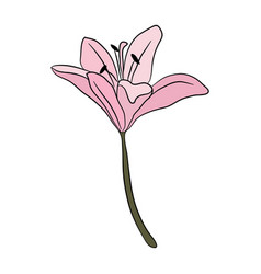 Lily Pink Simple Flower Icon Botanical Pattern