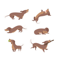 Funny Dachshund Brown Dog Character In Various