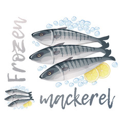 Frozen Mackerel Fish Cartoon