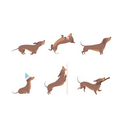 Funny Dachshund Brown Dog Character In Various