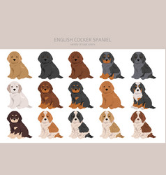 English Cocker Spaniel Clipart Different Poses