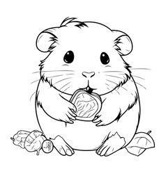 Hamster With An Orange Black And White