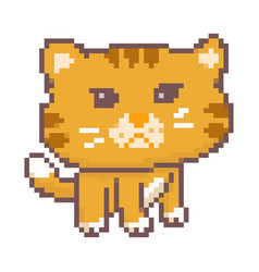 Angry Cat Pixel Art Cute Angry Cat Big Head