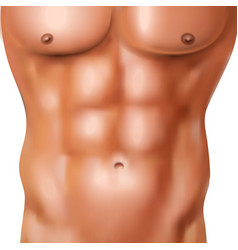 Realistic Man Abs Pack