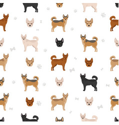 Norwegian Lundehund Seamless Pattern All Coat