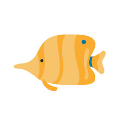 Coral Reef Fish Butterflyfish