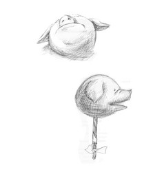 Pig Head Sketch Hand Drawn