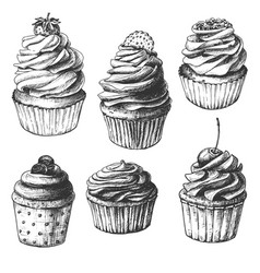 Hand Drawn Cupcakes Set Of Vintage Food Sketches