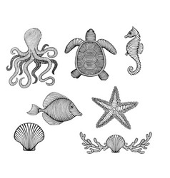 Vintage Hand Drawn Line Art Sea Creatures Engraved