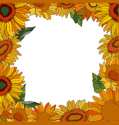 Square Frame Sunflower Flowers